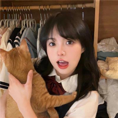 全城热搜四重奏